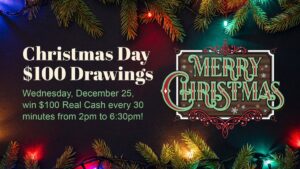 $100 Christmas Drawings